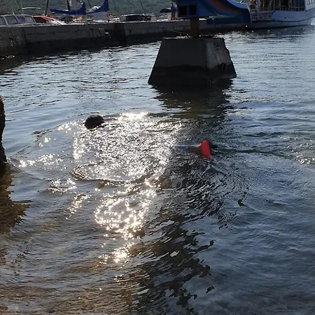 Botel Barba Rude Punat